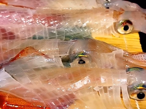 치카에 (Chikae) 해산물 정식 음식 사진